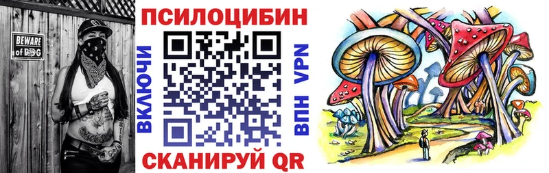 Галлюциногенные грибы Magic Shrooms  ссылка на мегу   Сергач 